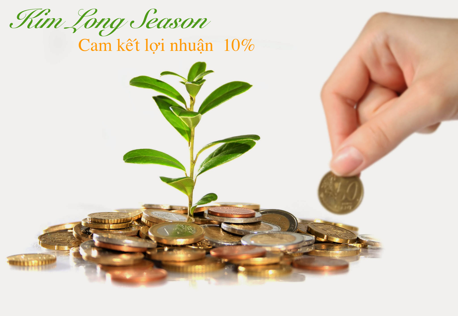 Kim Long Season cam kết lợi nhuận hấp dẫn cho khách hàng